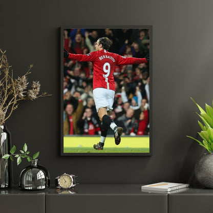 Dimitar Berbatov - Постер